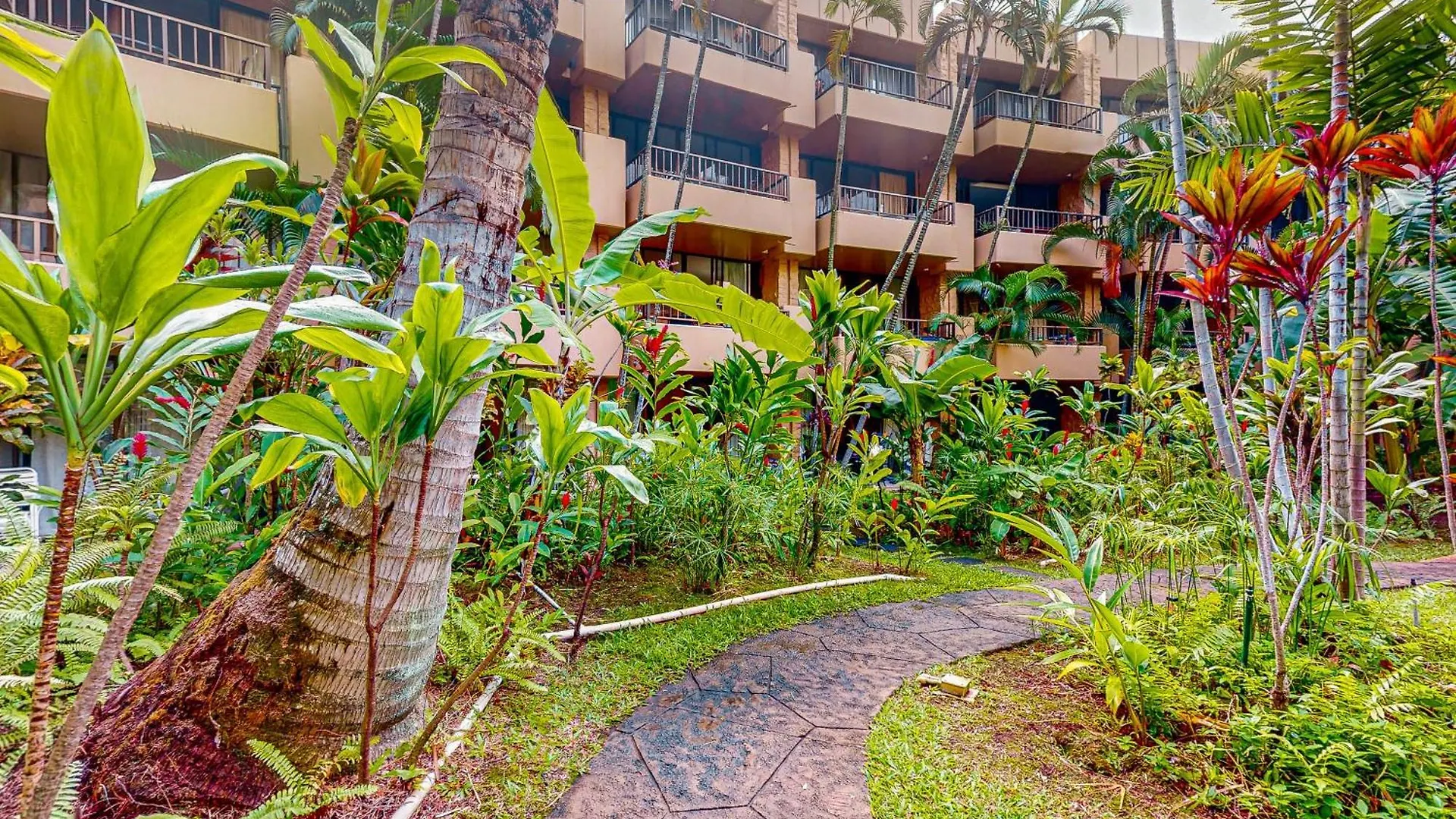 Paki Maui 314 Apartment Kahana 0*,  United States