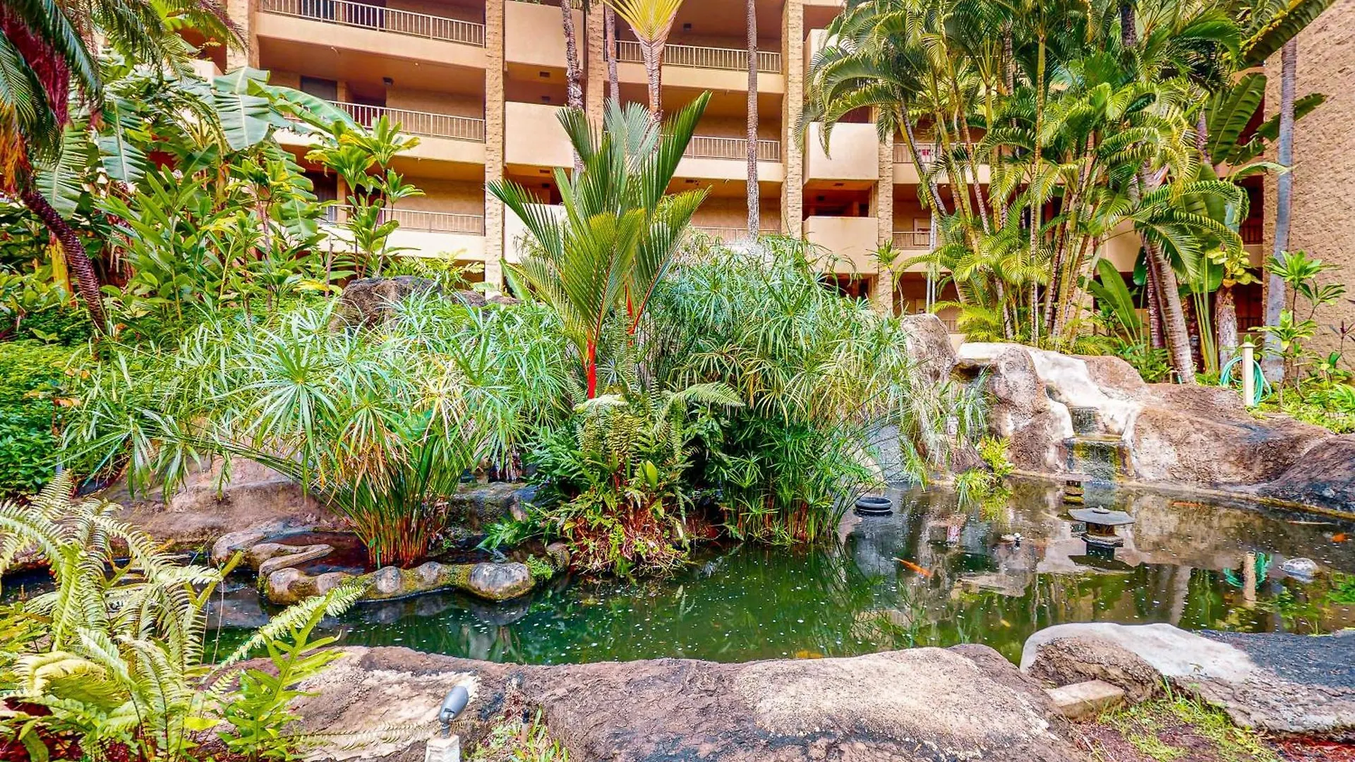 Apartmán Paki Maui 314 Kahana 0*,